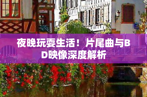 夜晚玩耍生活！片尾曲与BD映像深度解析