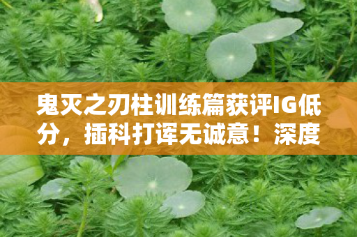 鬼灭之刃柱训练篇获评IG低分，插科打诨无诚意！深度解析其背后原因