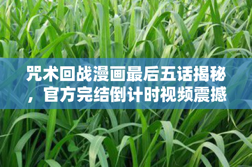 咒术回战漫画最后五话揭秘，官方完结倒计时视频震撼发布