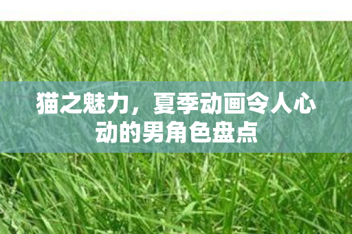 猫之魅力，夏季动画令人心动的男角色盘点