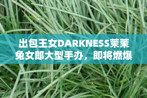 出包王女DARKNESS茉茉兔女郎大型手办，即将燃爆市场！