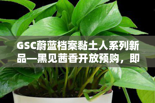 GSC蔚蓝档案黏土人系列新品—黑见茜香开放预购，即将震撼发售！