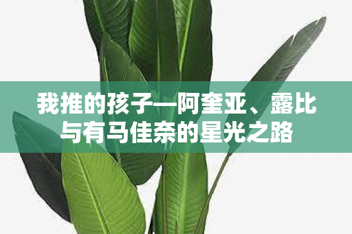 我推的孩子—阿奎亚、露比与有马佳奈的星光之路