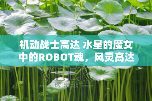 机动战士高达 水星的魔女中的ROBOT魂，风灵高达探讨