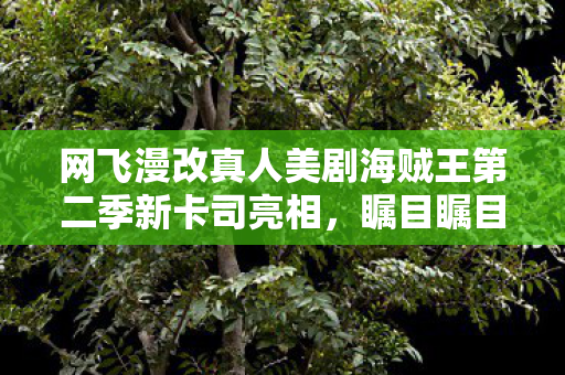 网飞漫改真人美剧海贼王第二季新卡司亮相，瞩目瞩目！