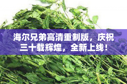 海尔兄弟高清重制版，庆祝三十载辉煌，全新上线！