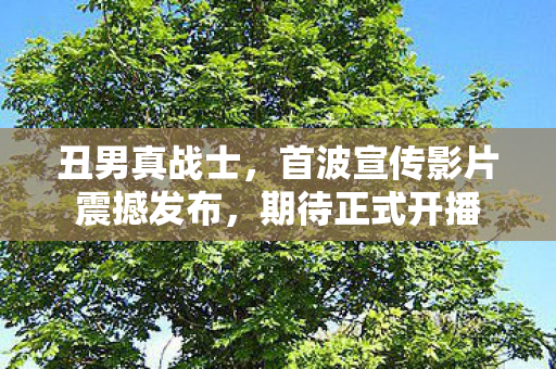 丑男真战士，首波宣传影片震撼发布，期待正式开播