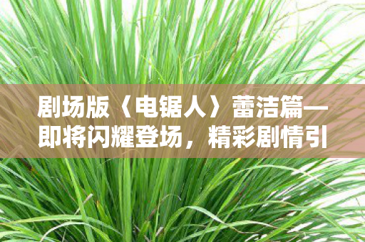 剧场版〈电锯人〉蕾洁篇—即将闪耀登场，精彩剧情引期待