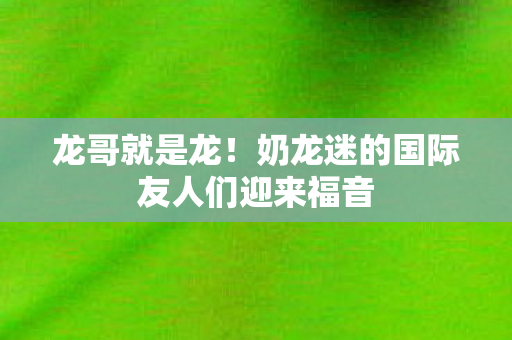 龙哥就是龙！奶龙迷的国际友人们迎来福音