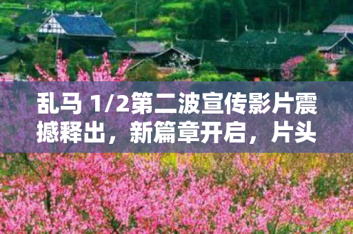 乱马 1/2第二波宣传影片震撼释出，新篇章开启，片头曲魅力十足，新角色惊艳亮相