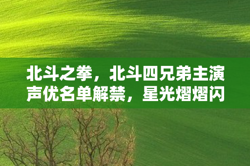 北斗之拳，北斗四兄弟主演声优名单解禁，星光熠熠闪耀荧屏！