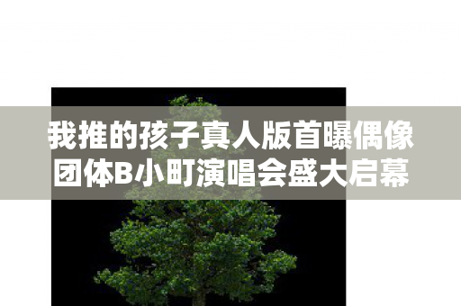 我推的孩子真人版首曝偶像团体B小町演唱会盛大启幕