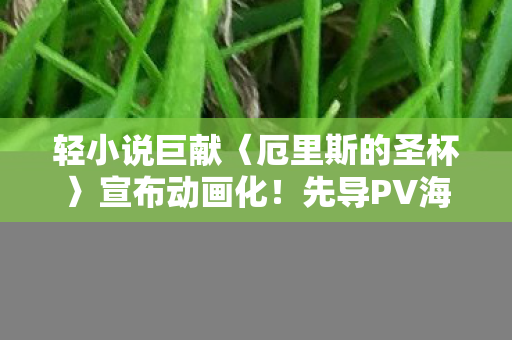 轻小说巨献〈厄里斯的圣杯〉宣布动画化！先导PV海报震撼亮相