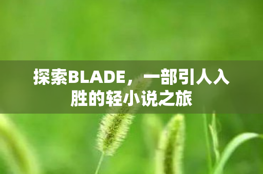探索BLADE，一部引人入胜的轻小说之旅
