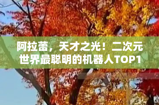 阿拉蕾，天才之光！二次元世界最聪明的机器人TOP10