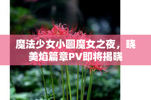 魔法少女小圆魔女之夜，晓美焰篇章PV即将揭晓