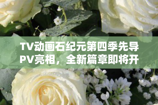 TV动画石纪元第四季先导PV亮相，全新篇章即将开播！