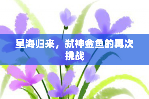 星海归来，弑神金鱼的再次挑战