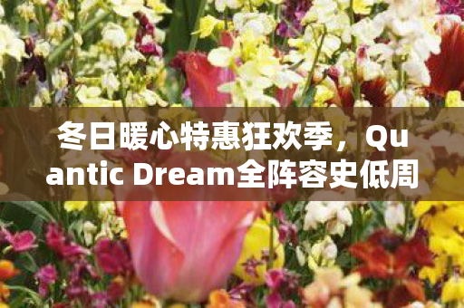 冬日暖心特惠狂欢季，Quantic Dream全阵容史低周促销开启