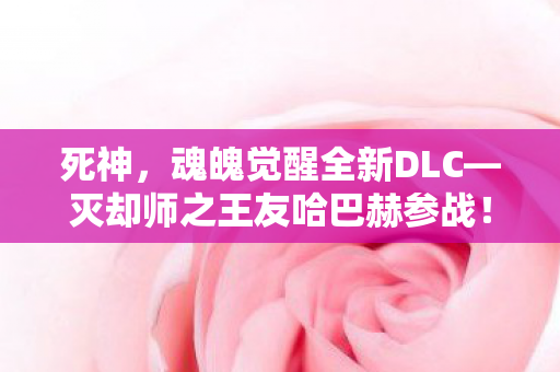 死神，魂魄觉醒全新DLC—灭却师之王友哈巴赫参战！