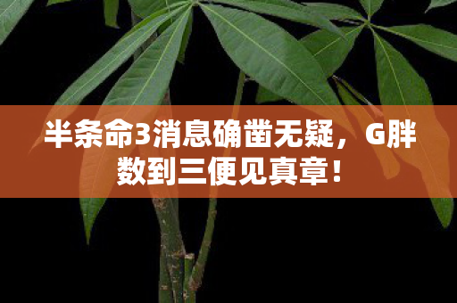 半条命3消息确凿无疑，G胖数到三便见真章！