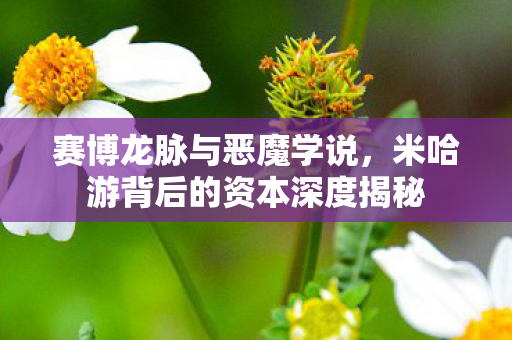 赛博龙脉与恶魔学说，米哈游背后的资本深度揭秘