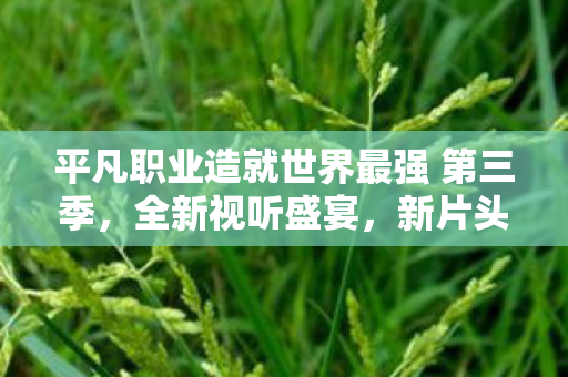 平凡职业造就世界最强 第三季，全新视听盛宴，新片头片尾曲引领热血征程