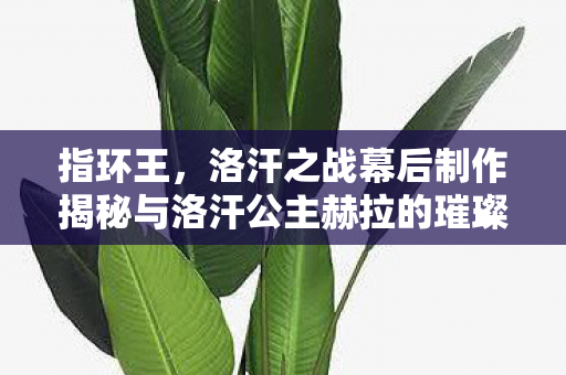 指环王，洛汗之战幕后制作揭秘与洛汗公主赫拉的璀璨亮相
