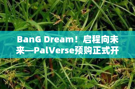 BanG Dream！启程向未来—PalVerse预购正式开启！