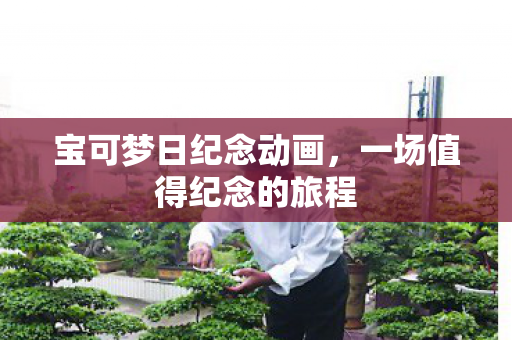 宝可梦日纪念动画，一场值得纪念的旅程