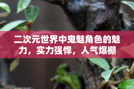 二次元世界中鬼魅角色的魅力，实力强悍，人气爆棚