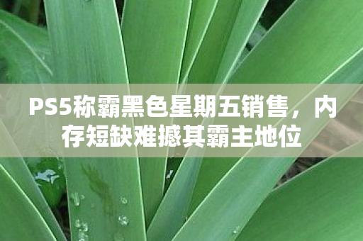 PS5称霸黑色星期五销售，内存短缺难撼其霸主地位