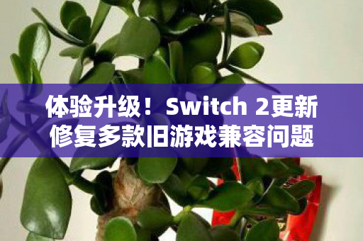 体验升级！Switch 2更新修复多款旧游戏兼容问题