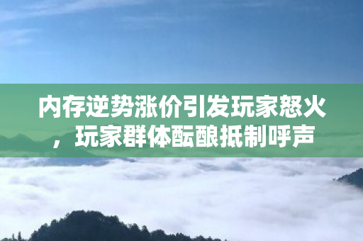 内存逆势涨价引发玩家怒火，玩家群体酝酿抵制呼声