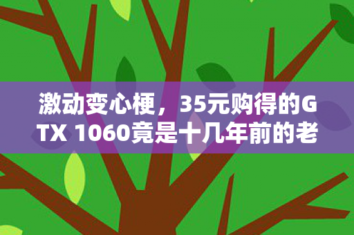 激动变心梗，35元购得的GTX 1060竟是十几年前的老卡
