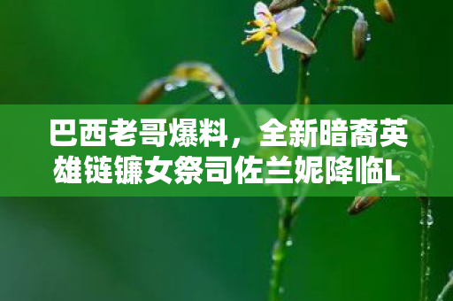 巴西老哥爆料，全新暗裔英雄链镰女祭司佐兰妮降临LOL