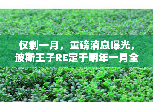 仅剩一月，重磅消息曝光，波斯王子RE定于明年一月全球同步发售