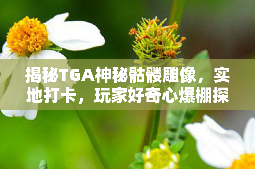 揭秘TGA神秘骷髅雕像，实地打卡，玩家好奇心爆棚探寻真相之旅