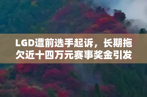 LGD遭前选手起诉，长期拖欠近十四万元赛事奖金引发法律纠纷