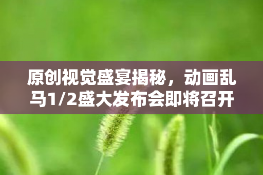 原创视觉盛宴揭秘，动画乱马1/2盛大发布会即将召开