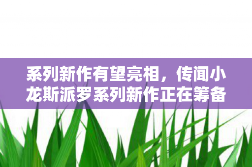 系列新作有望亮相，传闻小龙斯派罗系列新作正在筹备中