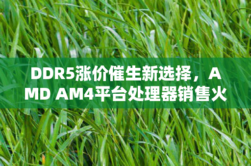 DDR5涨价催生新选择，AMD AM4平台处理器销售火爆