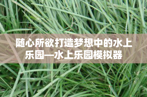 随心所欲打造梦想中的水上乐园—水上乐园模拟器