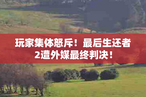 玩家集体怒斥！最后生还者2遭外媒最终判决！