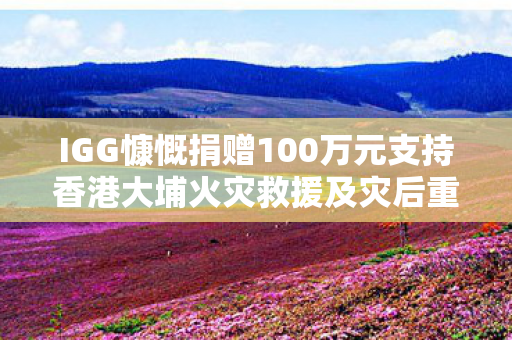 IGG慷慨捐赠100万元支持香港大埔火灾救援及灾后重建工作