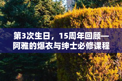 第3次生日，15周年回顾—阿雅的爆衣与绅士必修课程