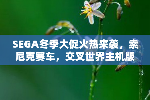 SEGA冬季大促火热来袭，索尼克赛车，交叉世界主机版首促享6.5折优惠！