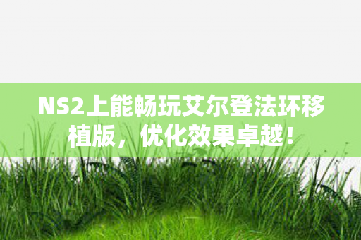 NS2上能畅玩艾尔登法环移植版，优化效果卓越！