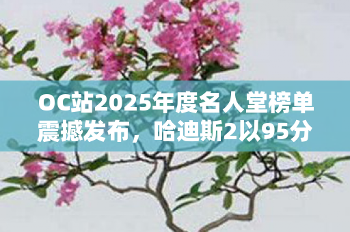 OC站2025年度名人堂榜单震撼发布，哈迪斯2以95分高分荣登榜首！