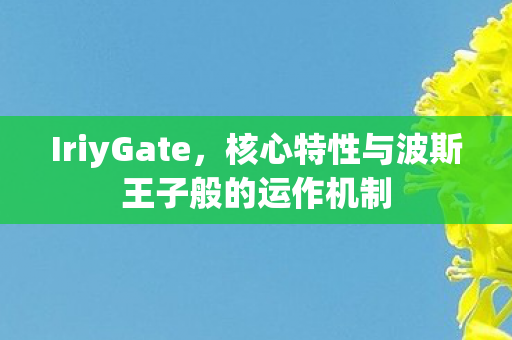 IriyGate，核心特性与波斯王子般的运作机制